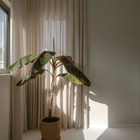 Apartment Casa Miro - Lux Living