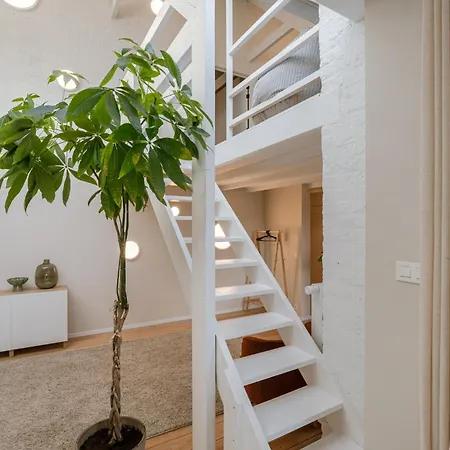 Casa Miro - Lux Living